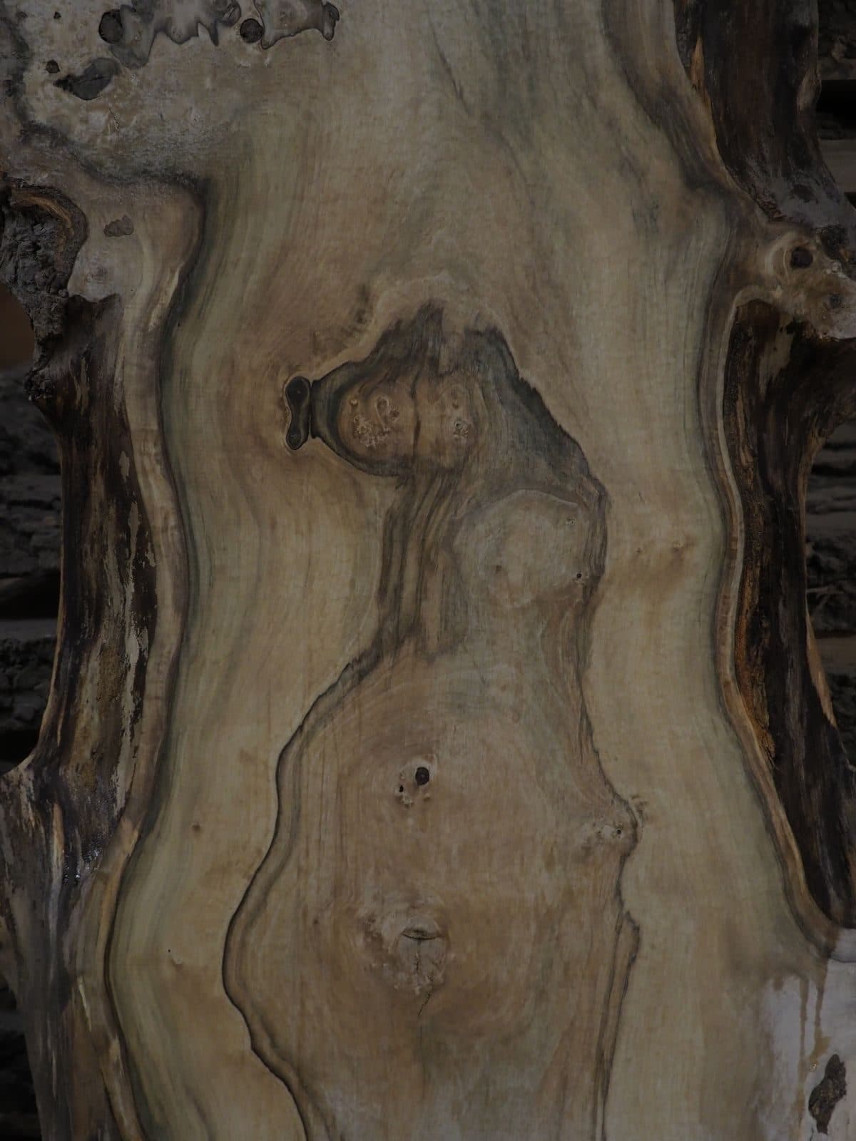 Macro close-up of live-edge slab grain and figure