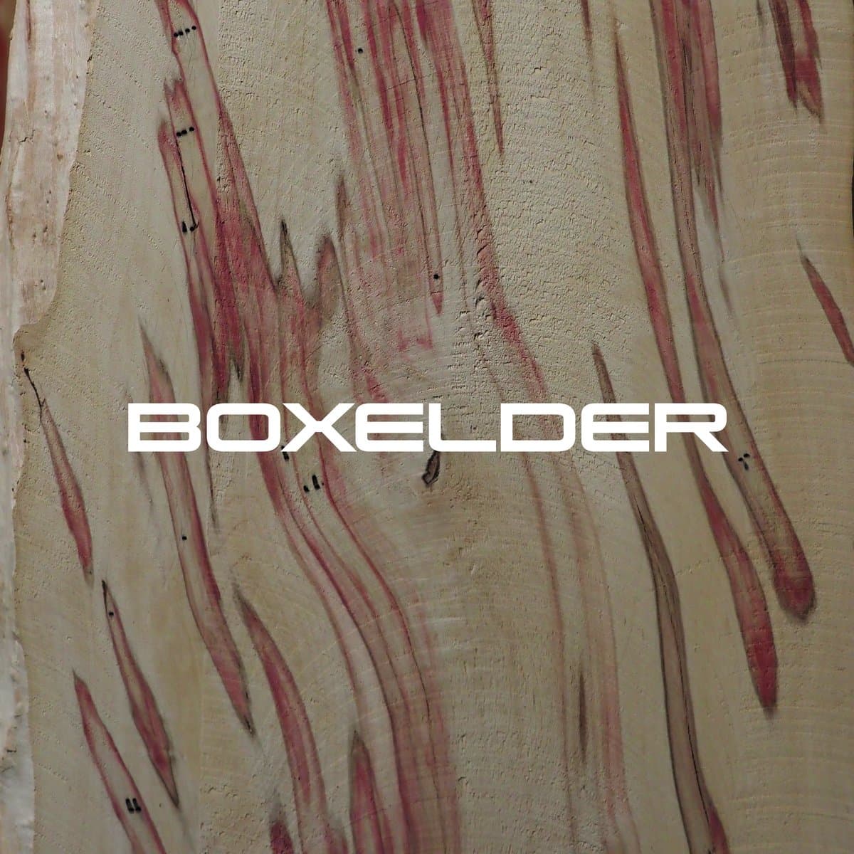 Boxelder grain texture
