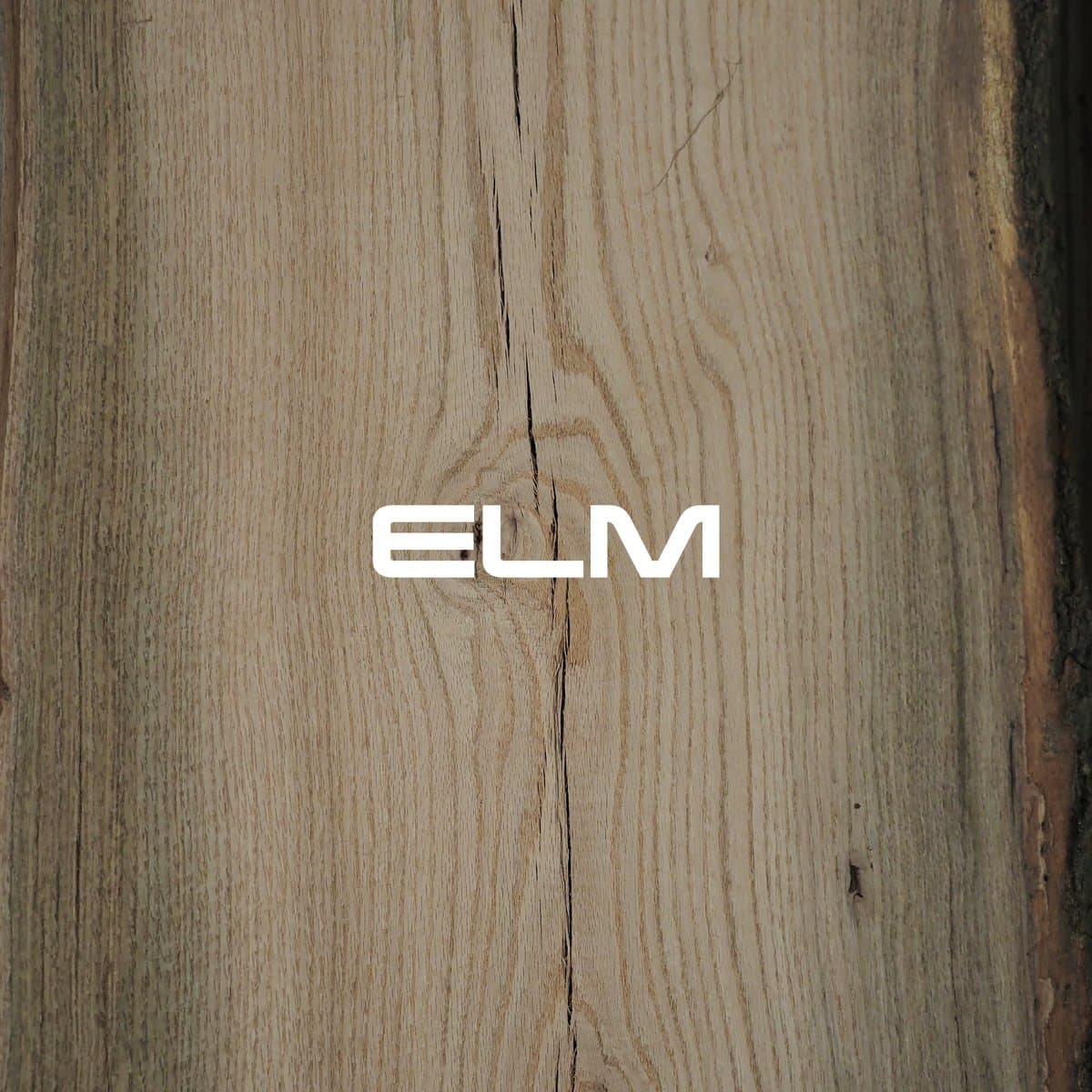 Elm grain texture