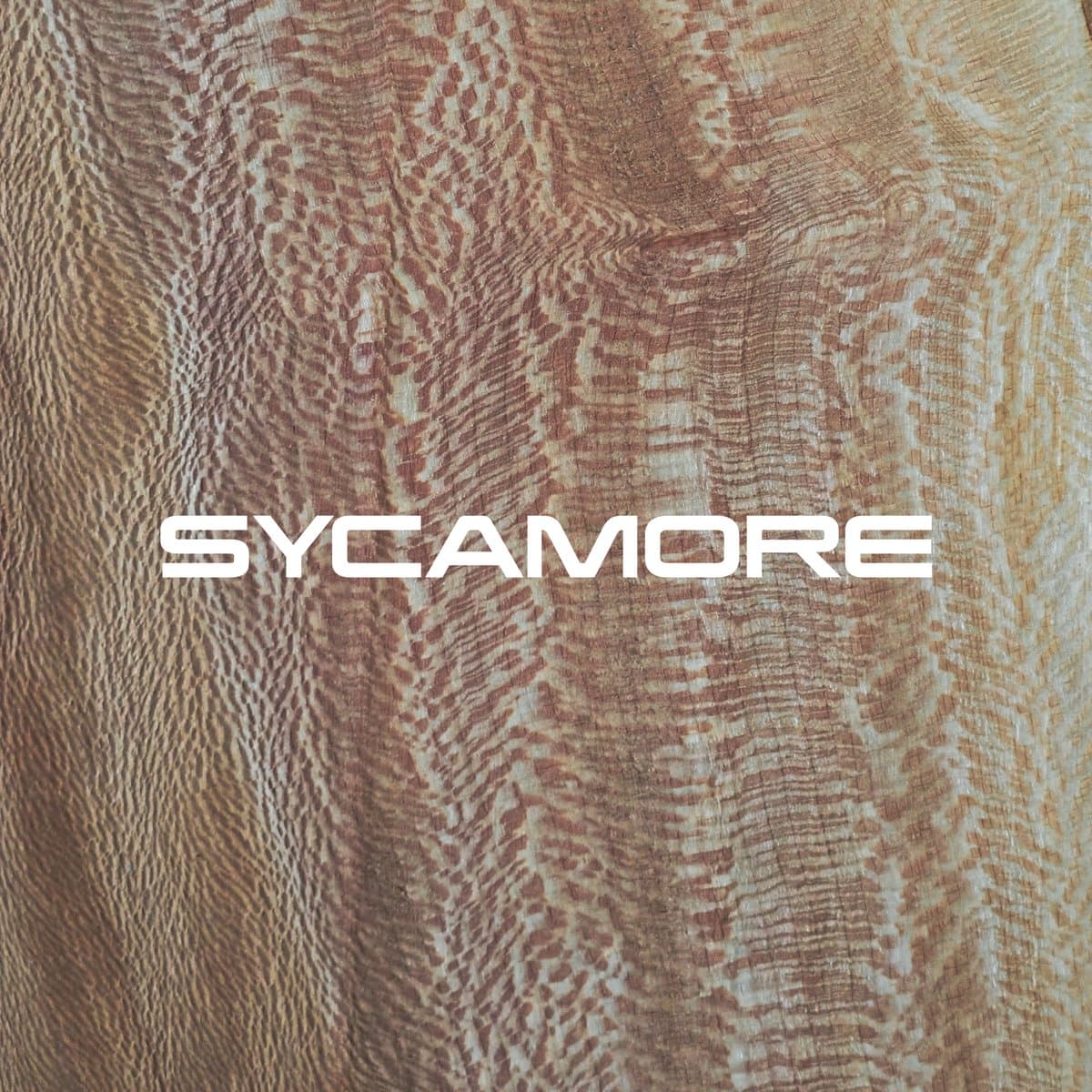 Sycamore grain texture